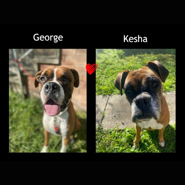 Photo of Kesha And George