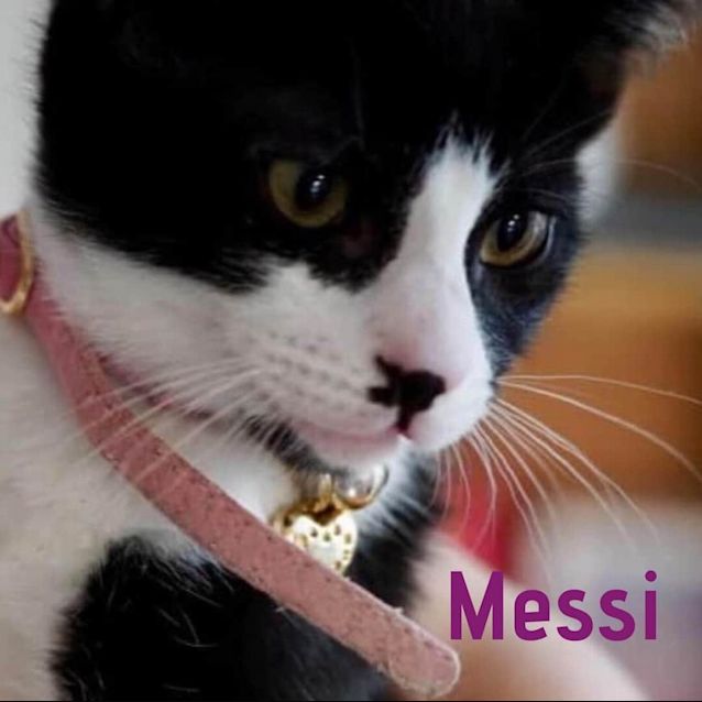 Photo of Messi