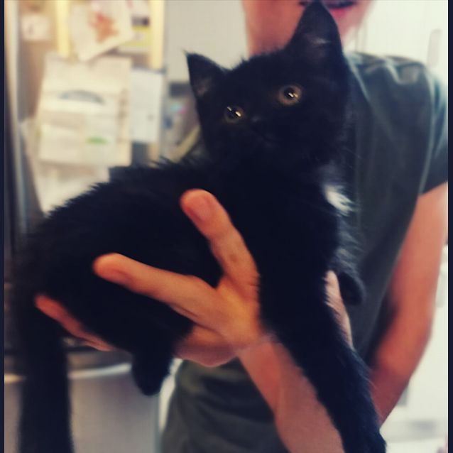 Photo of Pablo