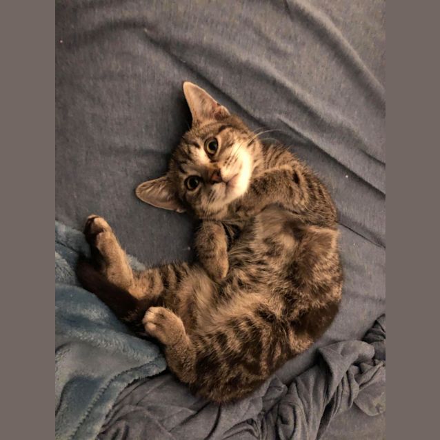 Photo of Tim Tam