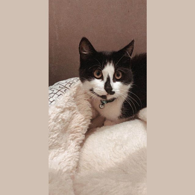 Photo of Leia
