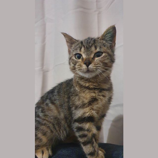 Photo of Jossie