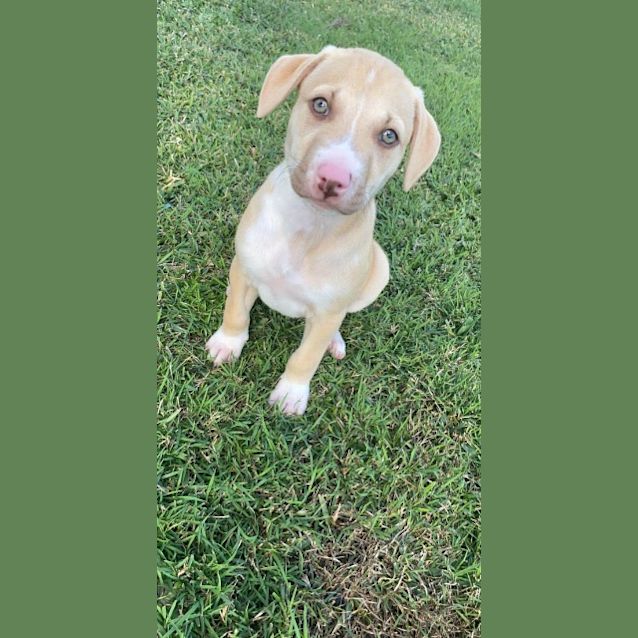 Photo of Frankie Lou