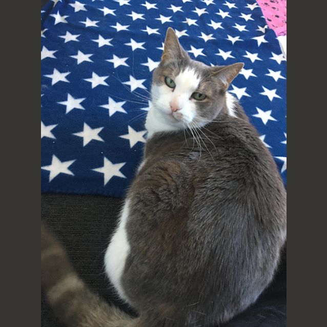 Photo of Tinkerbelle