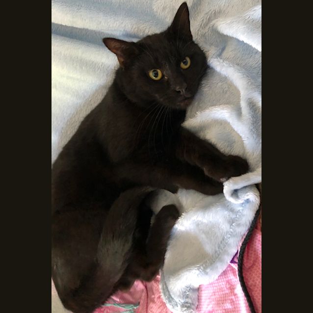 Photo of Jet