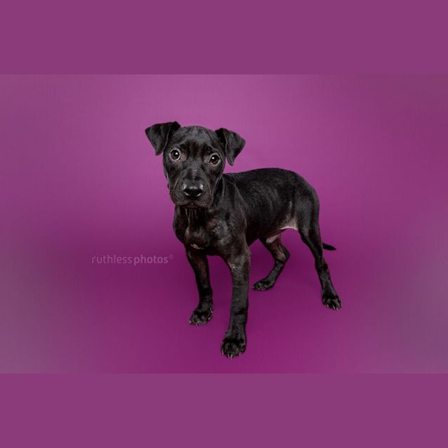 Photo of Teebo