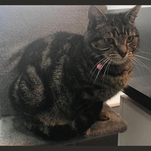 Photo of Tia