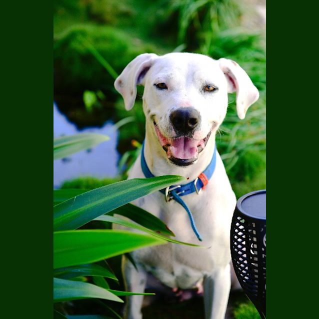 Photo of Lilly