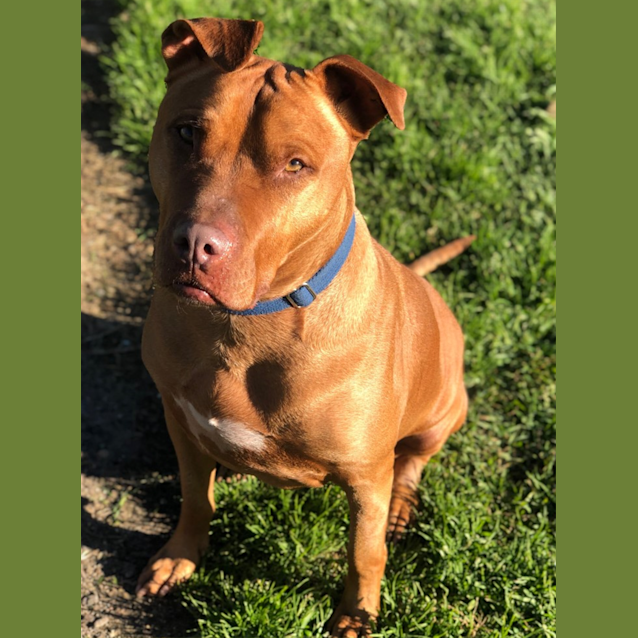 Photo of Gus