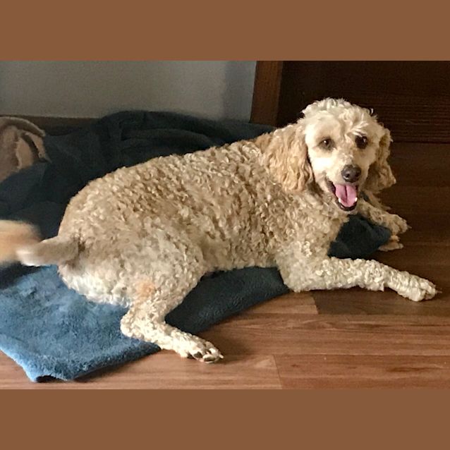 Photo of Zarzy 