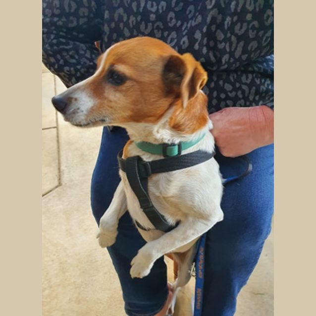Photo of Max