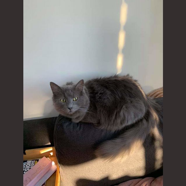 Photo of Skye