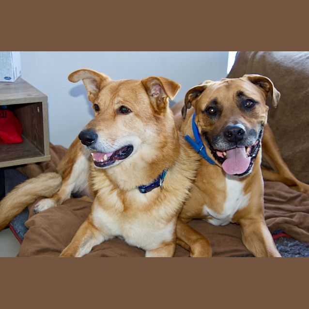 Photo of Ruben & Bailey