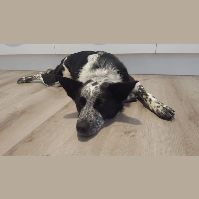 Photo of Bonnie
