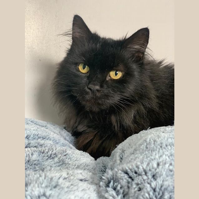 Photo of Betty Boo