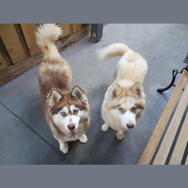 Photo of Mesa & Tucson