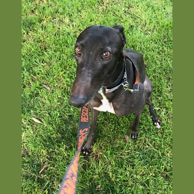 Photo of Tilly   Melbourne 