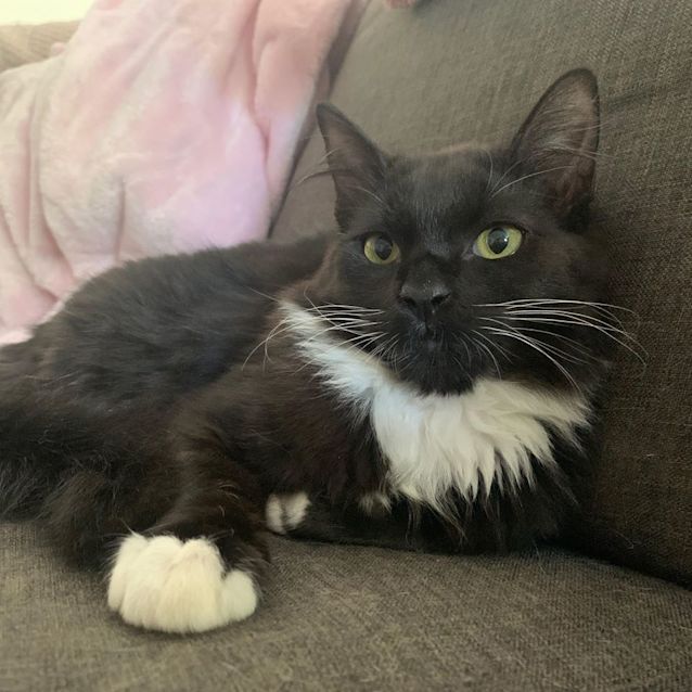 Photo of Lilly 