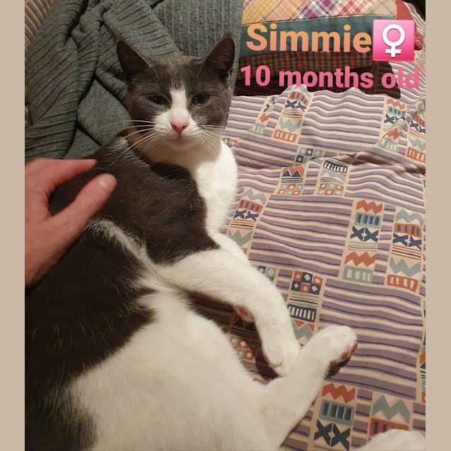 Photo of Simmie & Mc Kenzie 