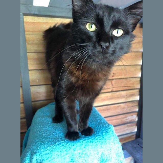 Photo of Salem