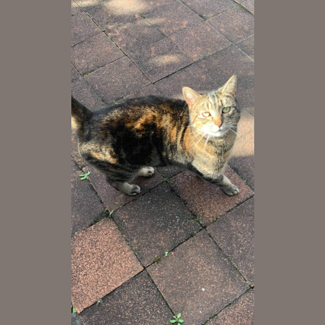 Photo of Mia 