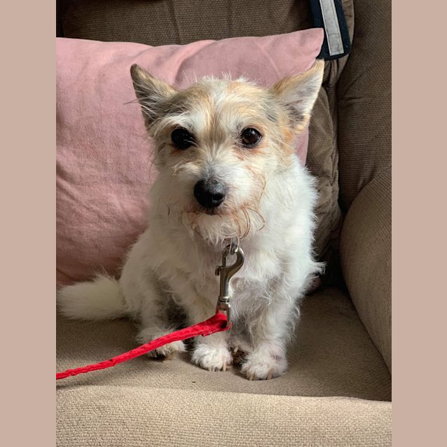 Photo of Maude 🥰
