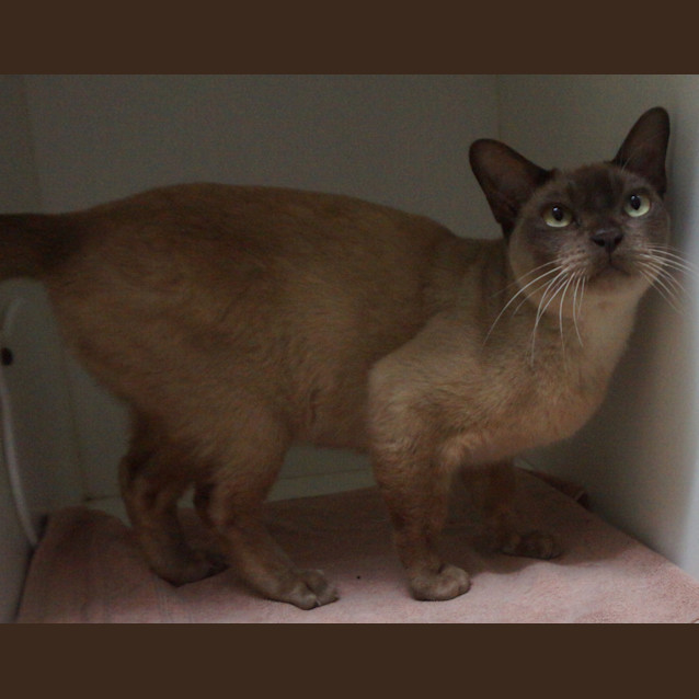 Photo of Rodney