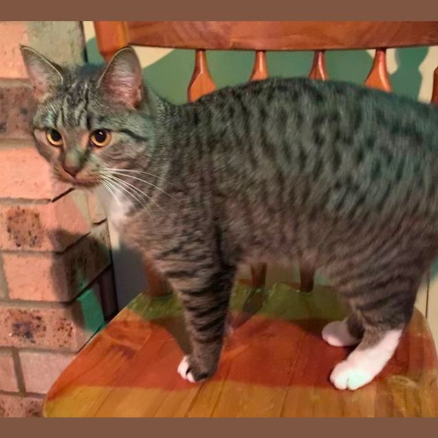 Photo of Emmy Lou