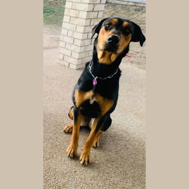 Photo of Izzie