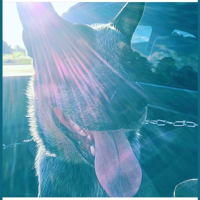 Photo of Charlie