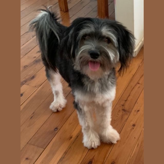 Photo of Chevy