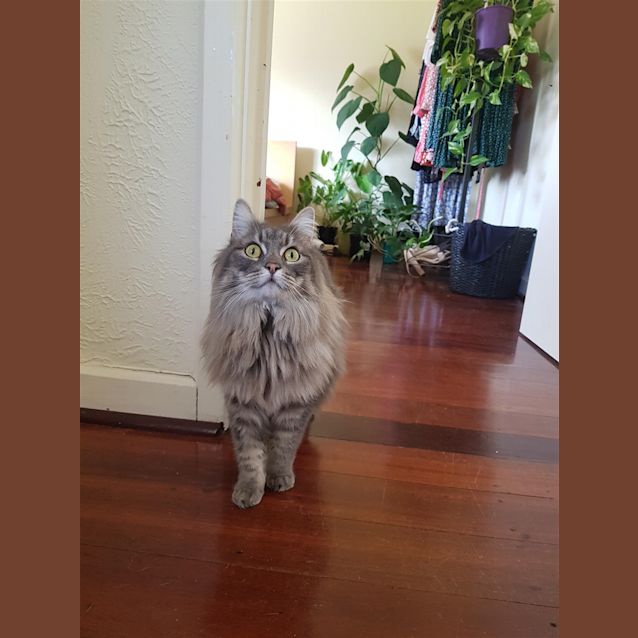 Photo of Lizzi