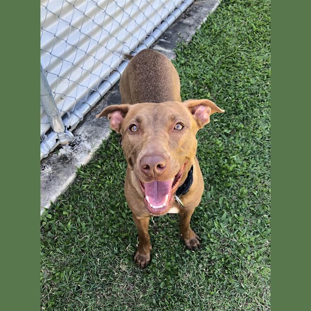 Photo of Coco