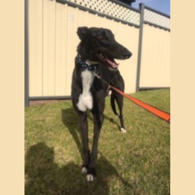 Photo of Johnny    Melbourne