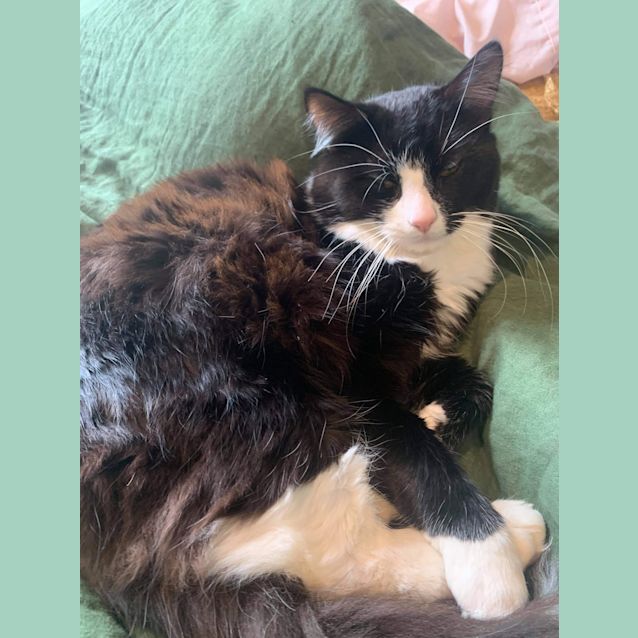 Photo of Oliver