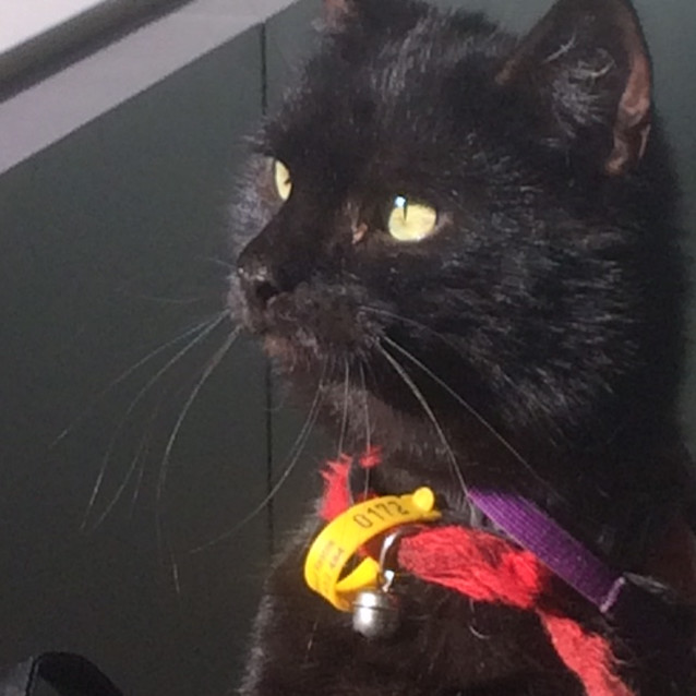 Photo of Tennyson~Best Friend For Life