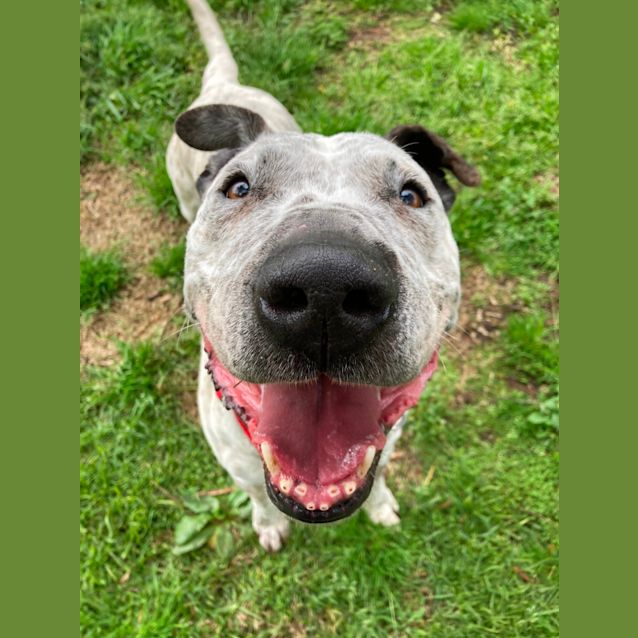 Photo of Big Mike (Mikey)