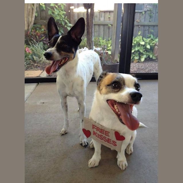 Photo of Toby And Pippa