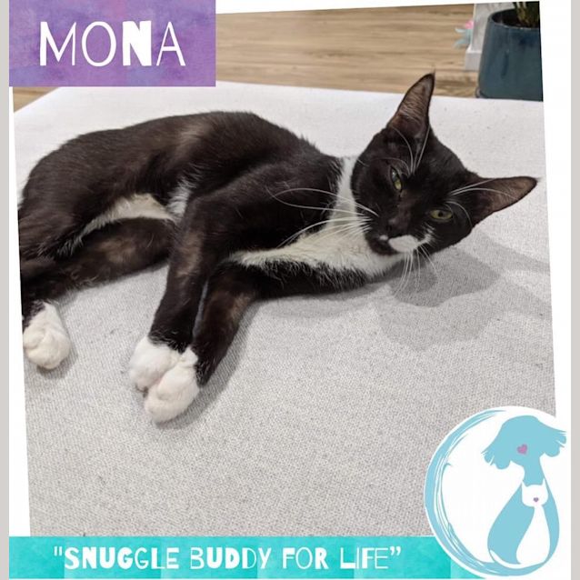 Photo of Mona 