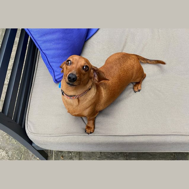 Photo of Cleo
