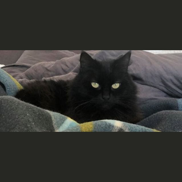 Photo of Ruby