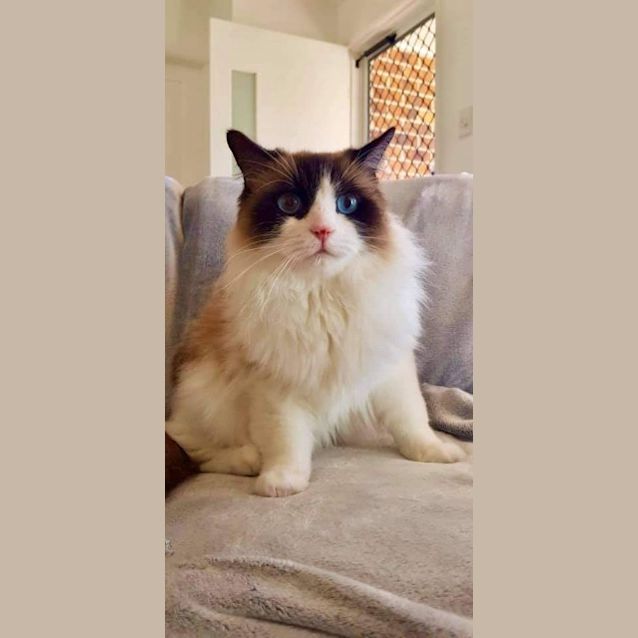 Photo of Charlie