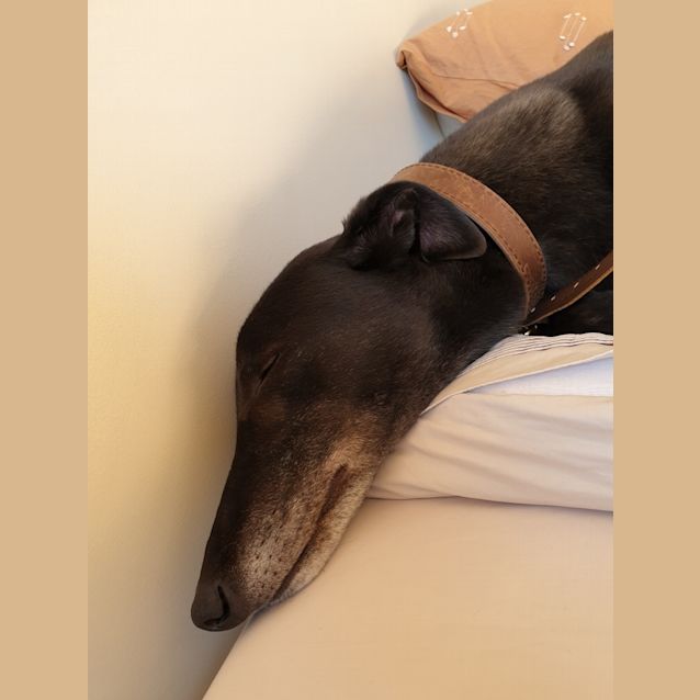 Photo of Bruce   Melbourne