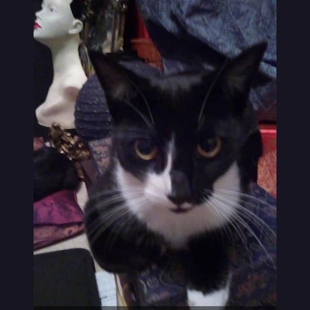 Photo of Darque And Gideons