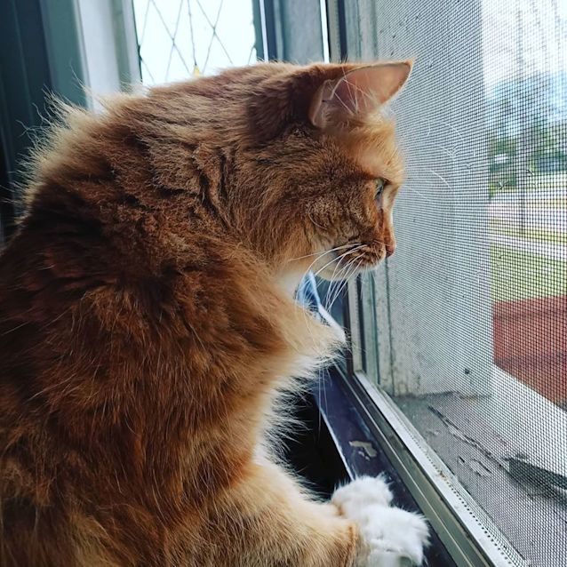Photo of Max 
