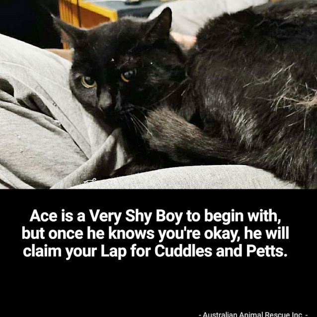 Photo of ♠️ace♠️