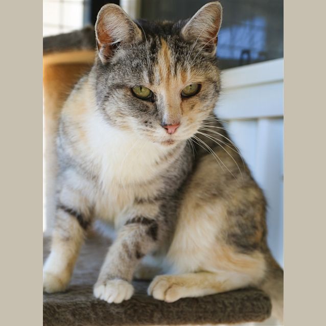 Photo of Hazel