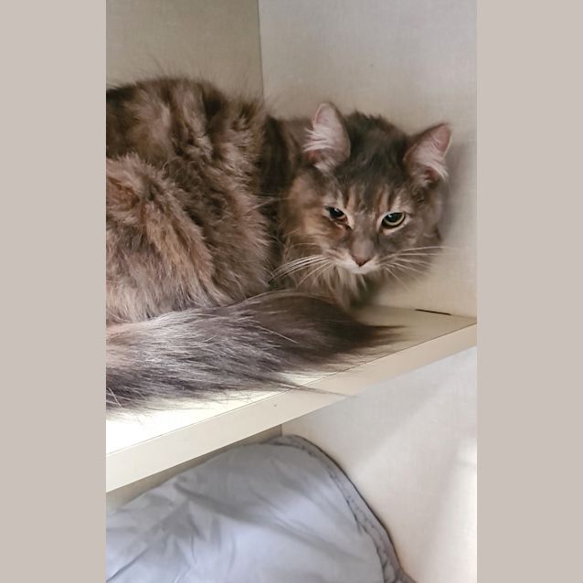 Photo of Hallie