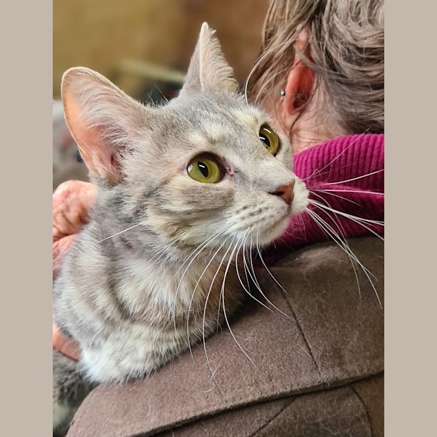 Photo of Lilly