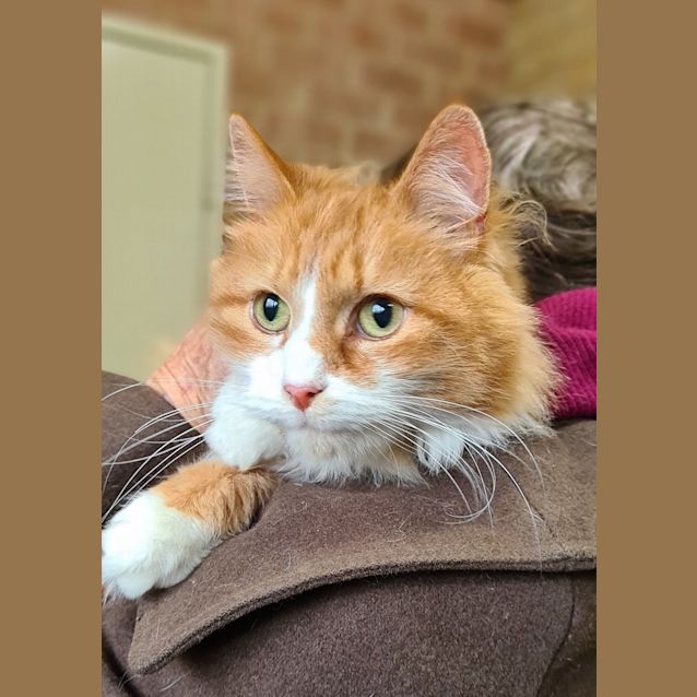 Photo of Mia